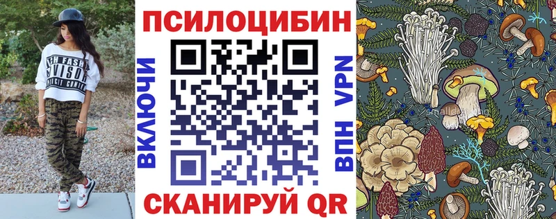 Галлюциногенные грибы прущие грибы гидра ТОР Барнаул как найти